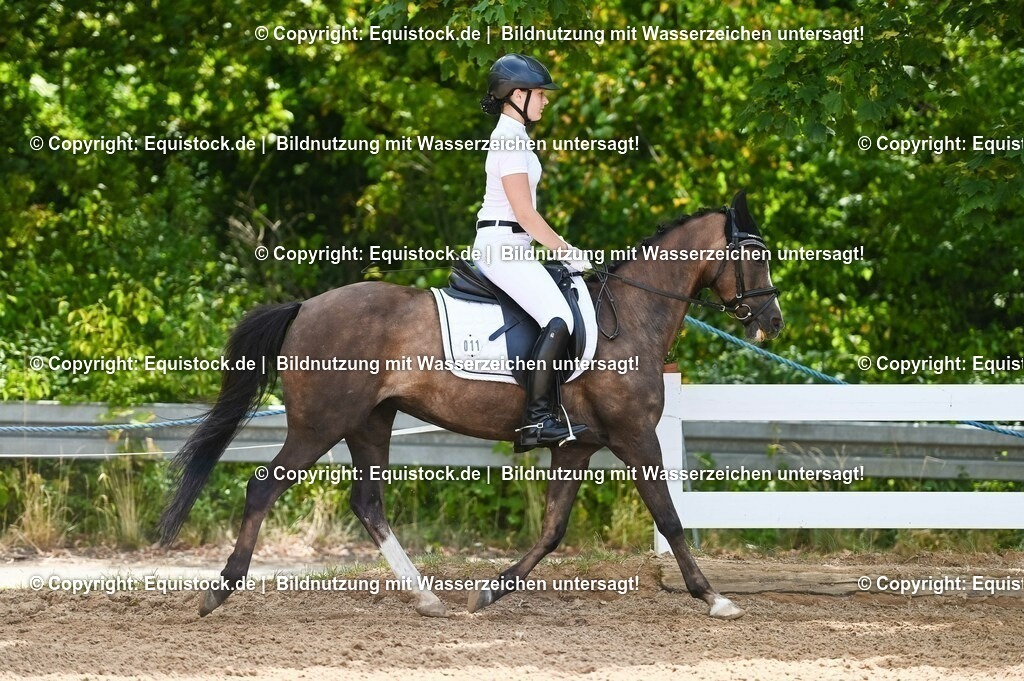 20230715_09_Dressur-WB_0121 | equistock