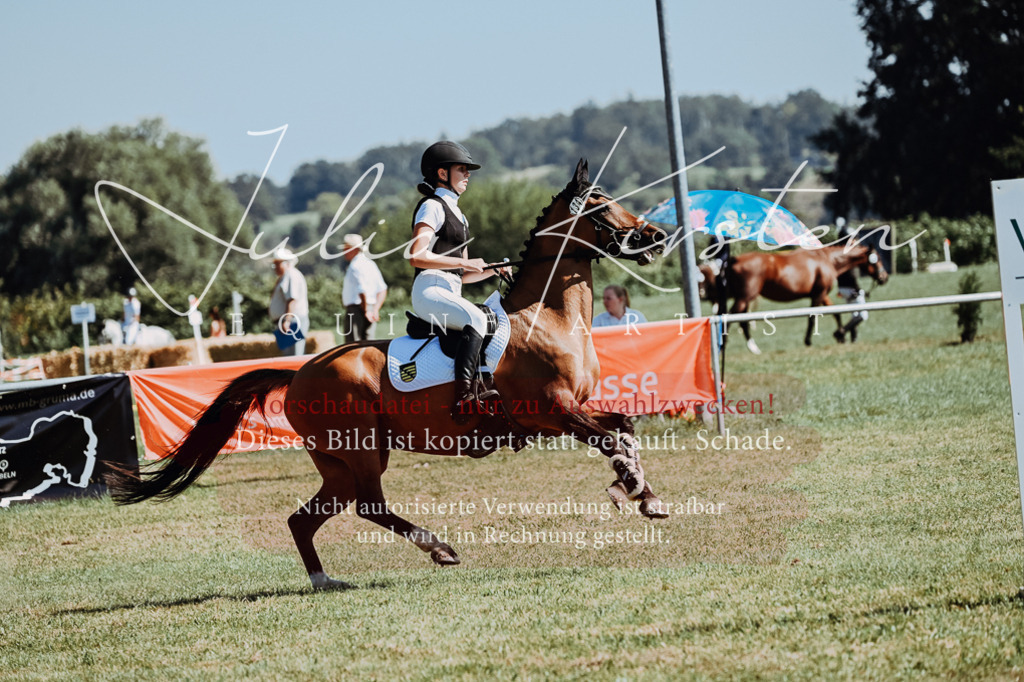 DSC_6153 | Pferde- und Turnierfotografie in Westsachsen. Pferdeportraits, Auftragszeichnungen und intuitive Kunst.