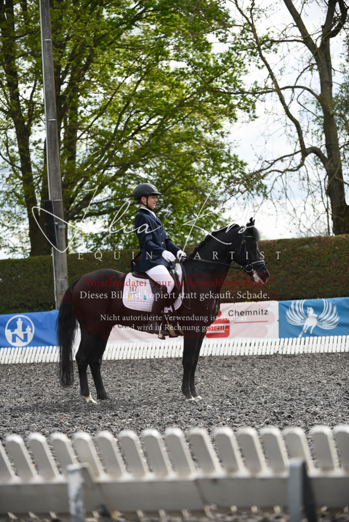 20230513_JK-Röhrsdorf-16-321 | Pferde- und Turnierfotografie in Westsachsen. Pferdeportraits, Auftragszeichnungen und intuitive Kunst.