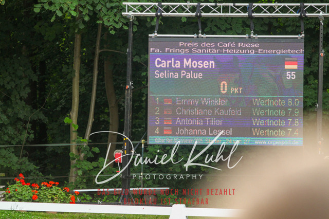 DKP45072 | Turnierfotos kaufen im Webshop von Daniel Kuhl Photography – entdecke professionelle Reitsportfotos aus Turnieren & Events. Hochwertige Turnierbilder online bestellen & sichern. Jetzt Fotos von Reitsportturnieren kaufen!