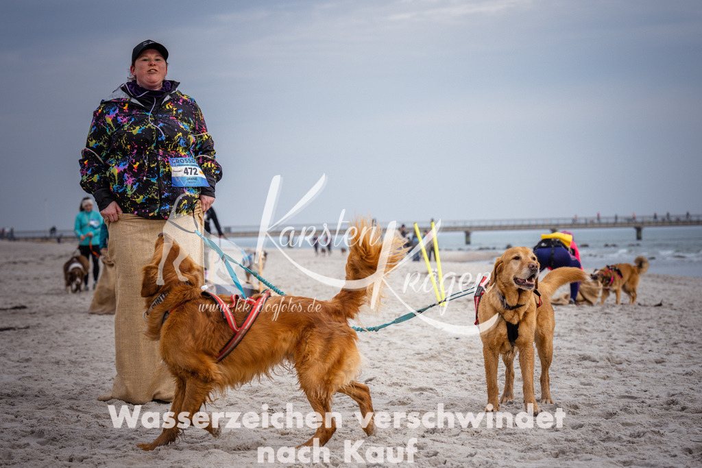 1254_ZZ96879 | kk-dogfotos