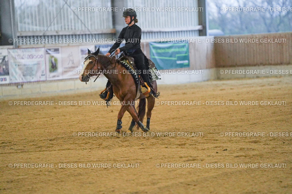 DSC09465 | Pferdegrafie