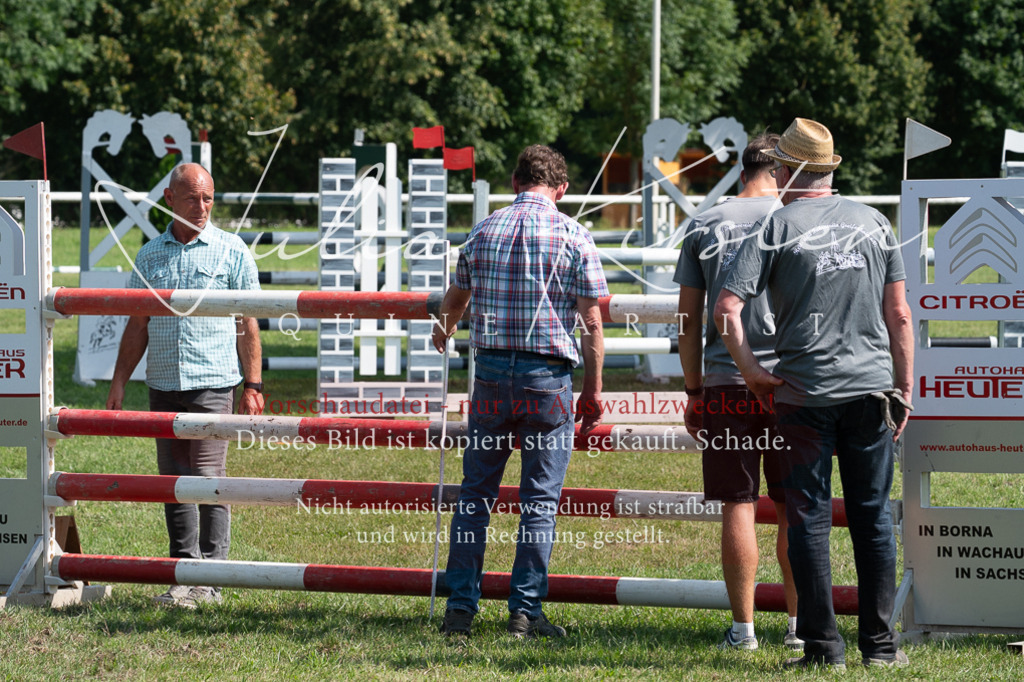 DSC_0768 | Pferde- und Turnierfotografie in Westsachsen. Pferdeportraits, Auftragszeichnungen und intuitive Kunst.
