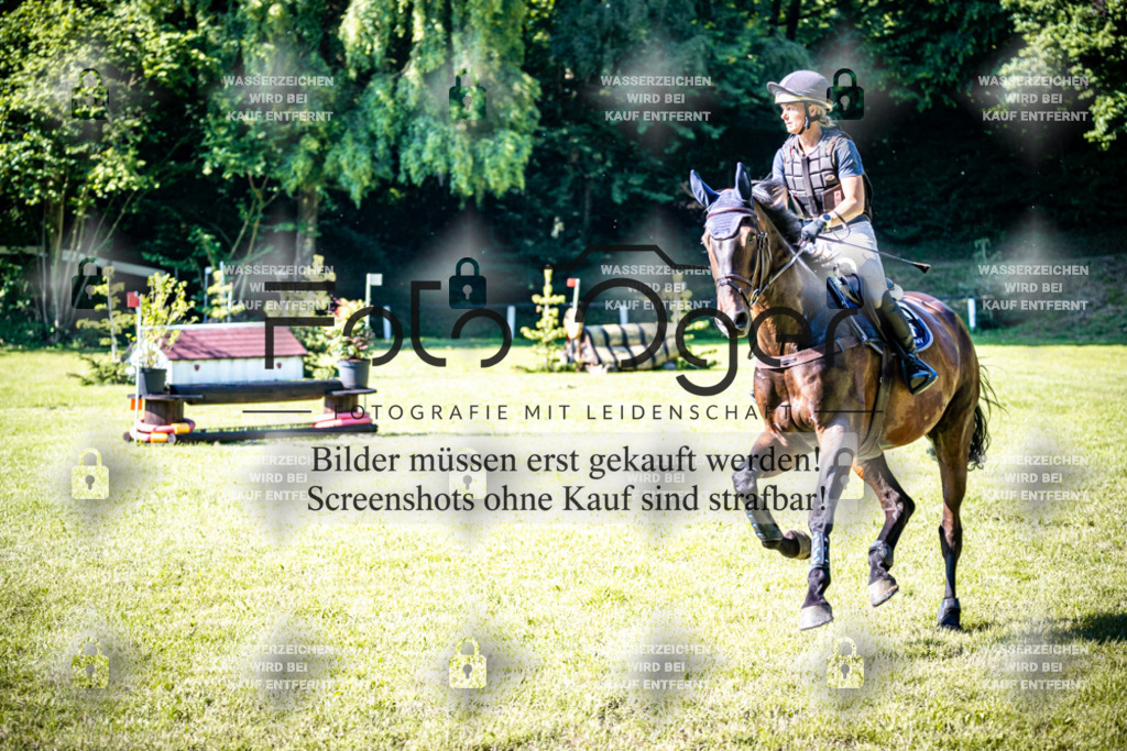 2026-05 - Melle Oldendorf-3-0034 | Entdecke hochwertige Reitturnierfotos von Foto Oger. Professionell, emotional und authentisch – jetzt Lieblingsmomente im Shop bestellen.Deutschlandweite Turnierfotografie. - Realisiert mit Pictrs.com