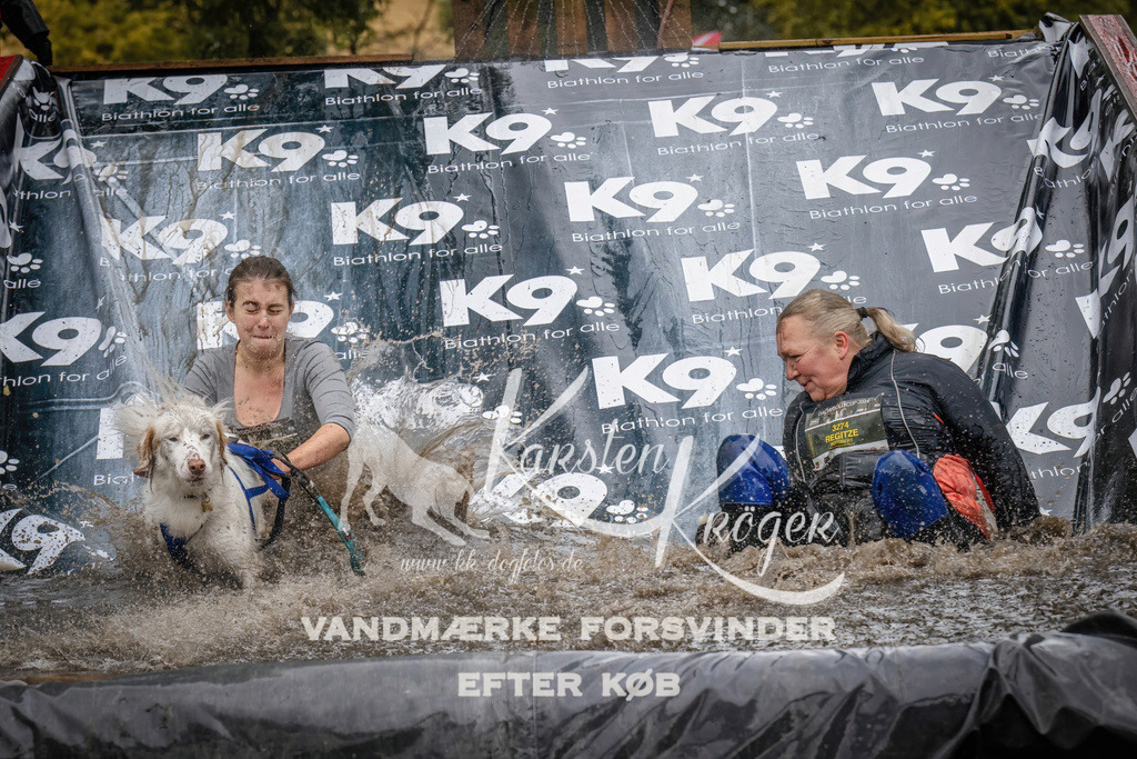 1204_ZZ94289 | kk-dogfotos