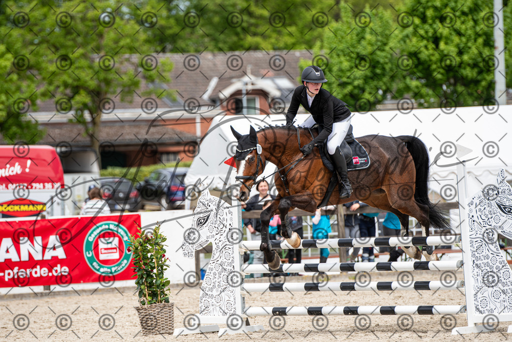 KPT_5517 | andre_photographic