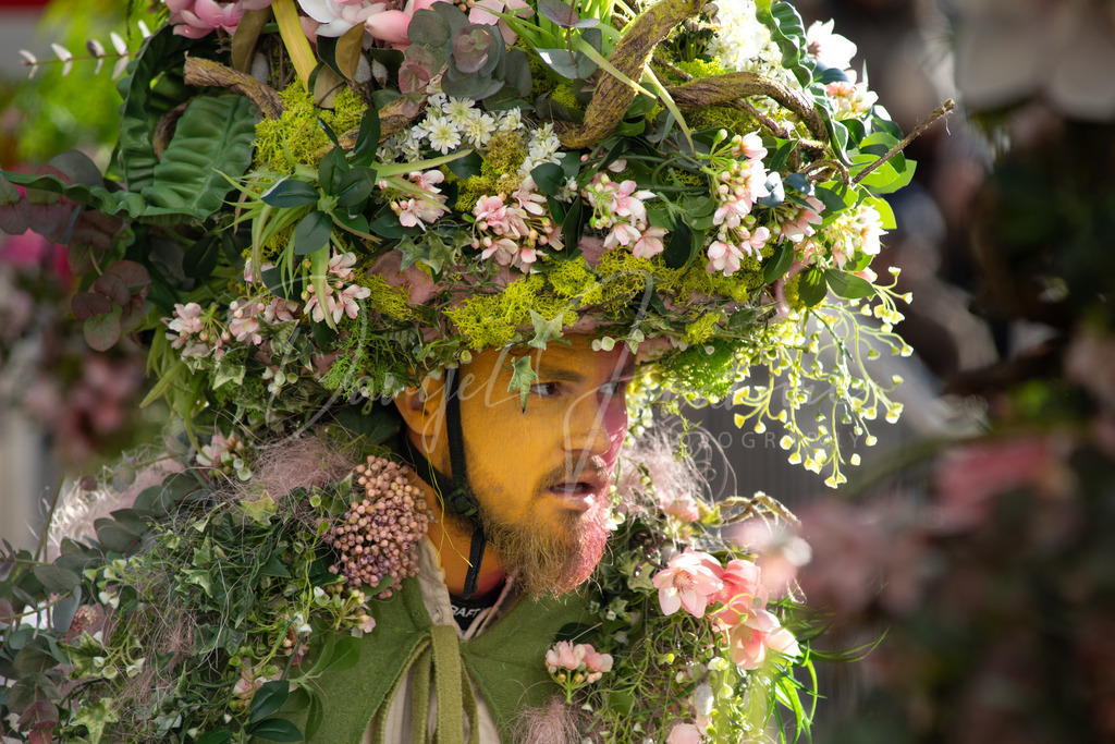 DSC00726 | Professioneller Fotograf - Bildbestellung online - Wandbilder vom Profi für ihr Zuhause, Büro, Praxis, Firma - große Auswahl an Materialien und Formaten, über 1400 regionale Motive