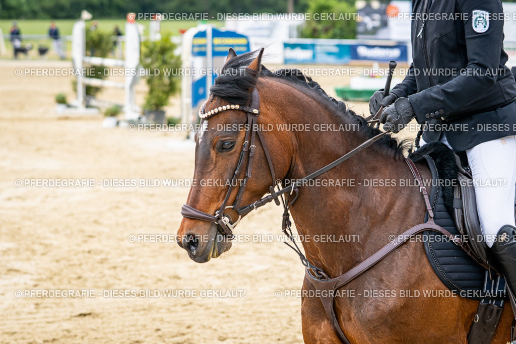 DSC05505 | Pferdegrafie