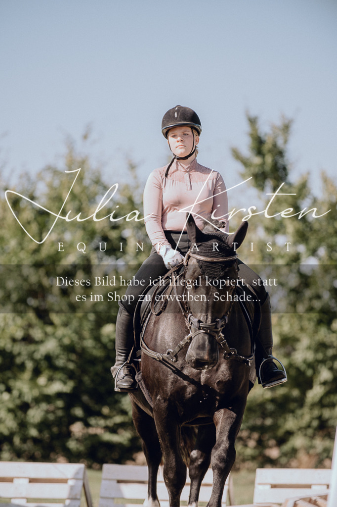 DSC_7077 | Pferde- und Turnierfotografie in Westsachsen. Pferdeportraits, Auftragszeichnungen und intuitive Kunst.