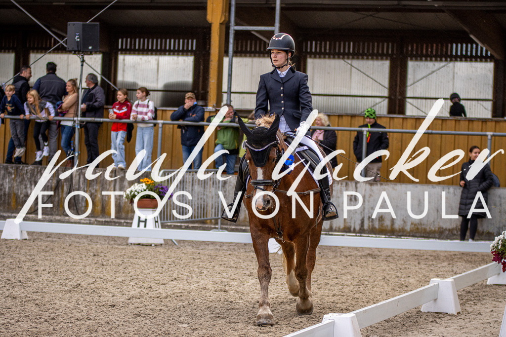 IMG_3533 | Erleben Sie dynamische Sport- und emotionale Tierfotografie in Süddeutschland mit Fotos von Paula. Spezialisiert auf Pferde- und Hundefotografie sowie Sportevents. Kontaktieren Sie mich für einzigartige und ausdrucksstarke Bilder Ihrer besonderen Momente. - Realisiert mit Pictrs.com