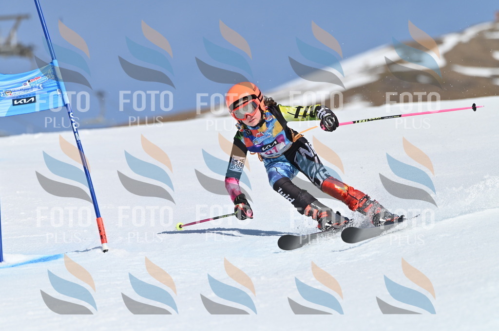 BGV_8745 | holidayphoto