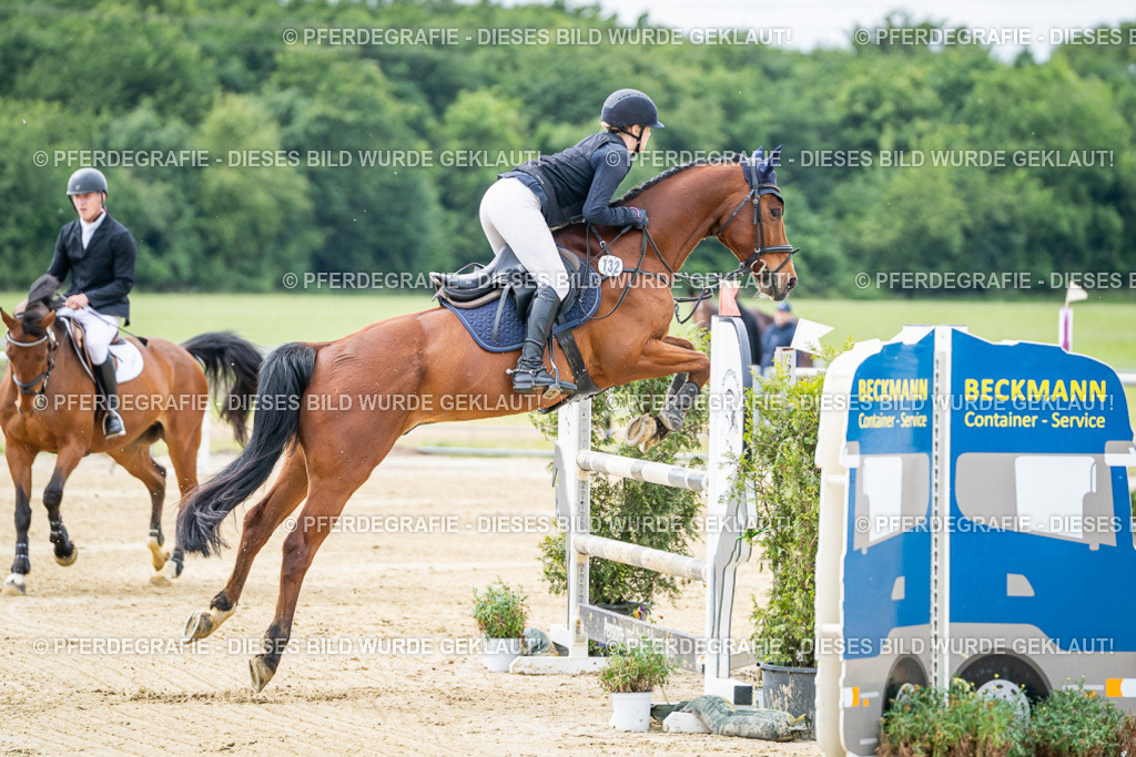 DSC04910 | Pferdegrafie