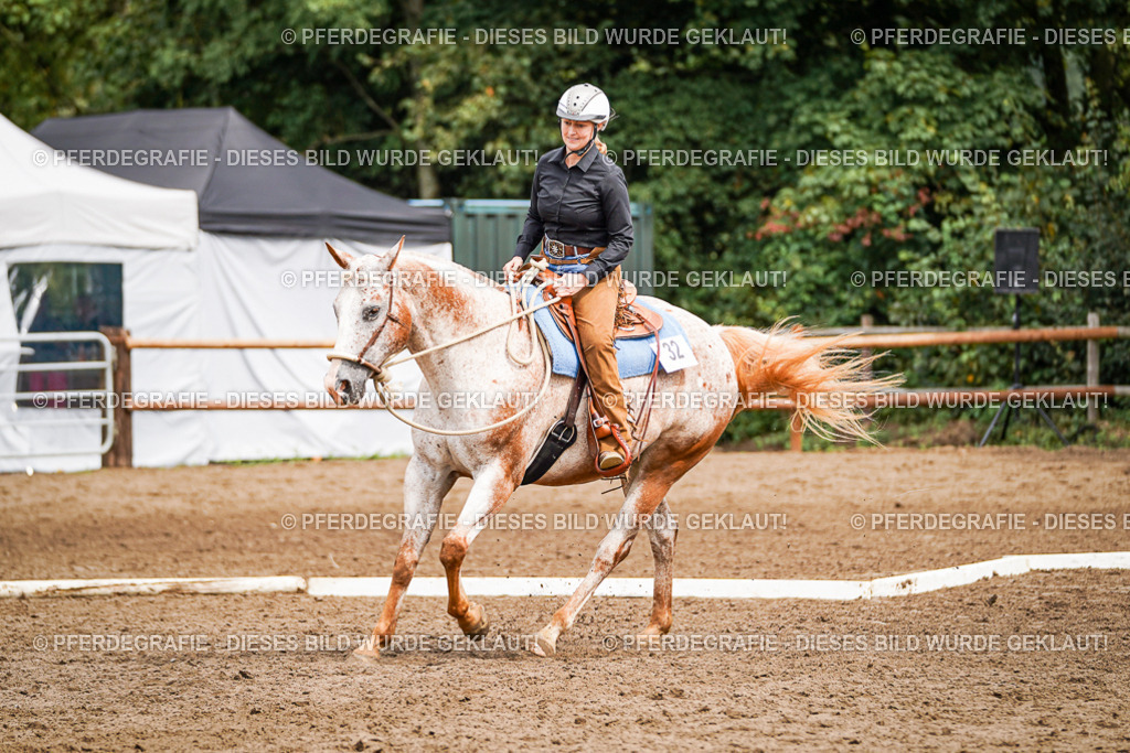 DSC04156 | Pferdegrafie