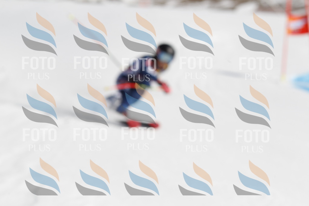 _U3G9060 | holidayphoto