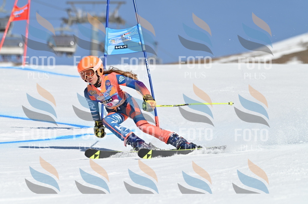 BGV_7736 | holidayphoto