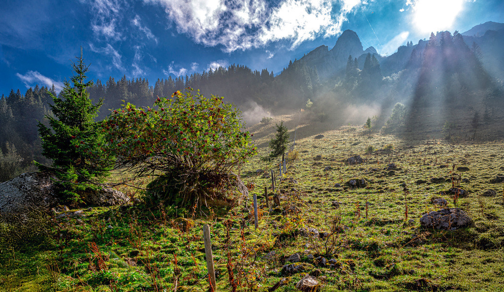 Herbstlicher Nebel in Bergen am Tegernsee-------Alpenblick | Das Bild zeigt eine Berglandschaft, die typischerweise im Herbst bei einer Inversionswetterlage mit Nebel in den Tälern und Sonne in den höheren Lagen zu sehen ist. Solche Bedingungen sind in den bayerischen Alpen, wie der Region Tegernsee, häufig. Die Szene fängt das goldene Herbstlicht ein, das durch die Wolken und den Nebel bricht. Der Nebel entsteht typischerweise, wenn feuchte Luft in der Nacht unter klarem Himmel abkühlt. Die Sonne scheint auf die oberen Berghänge, während die Täler neblig bleiben können. Diese Wetterlage belohnt Wanderer, die sich über die Nebelschicht begeben.  - Realisiert mit Pictrs.com
