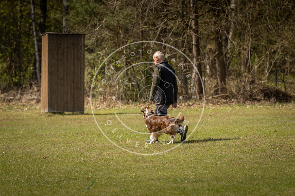 Pfotenfotografie_DV3A1326 | Hundefotografie, Tierfotograf, Pfotenfotografie, Fotoshooting Hund, Hunde Portrait, Hundesport, Hundeportraits, Heideshooting, Hunde, Sportfotograf, Hundefotograf, Turnierhundsport, THS,  - Realisiert mit Pictrs.com