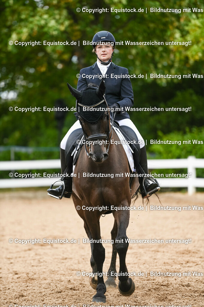20230716_01_Dressurprüfung Kl.M_0409 | equistock