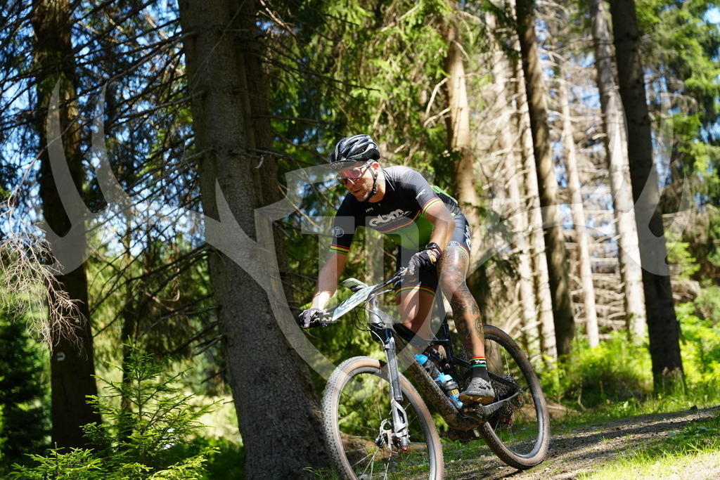 FC101554 | Fotogalerie der Treibjagd im Dunkelwald - Dein MTB Etappenrennen im Erzgebirge - Realisiert mit Pictrs.com