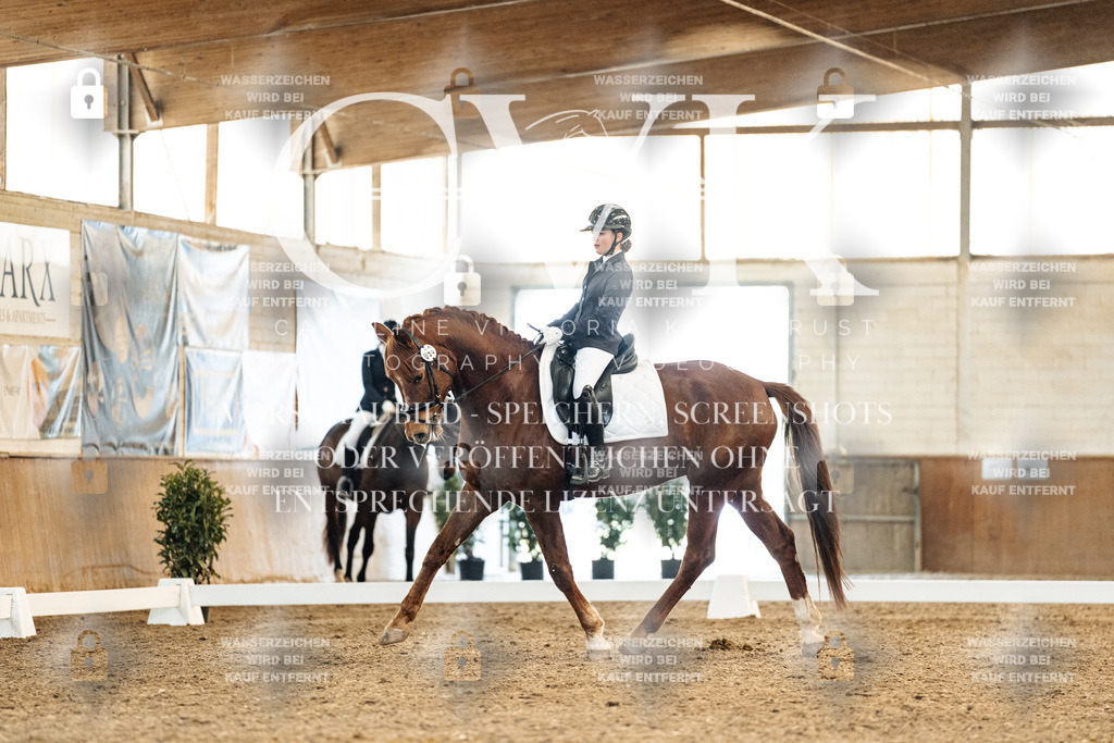 CK908310 | Turnierfotografie Pferdefotografie Trier Rheinland-Pfalz Pferdesport Reitsport Tierfotografie Sportfotografie Pferdevideo Pferdevideografie Equestrianvideography equestrianphotography  - Realisiert mit Pictrs.com