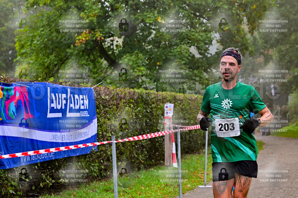 Z8N_1148 | la-psv - Realisiert mit Pictrs.com