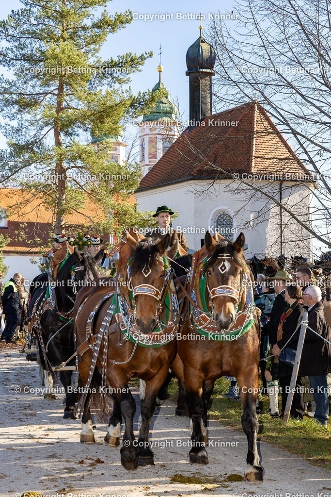 LBT25-1044 | foto-bettina-krinner - Realisiert mit Pictrs.com