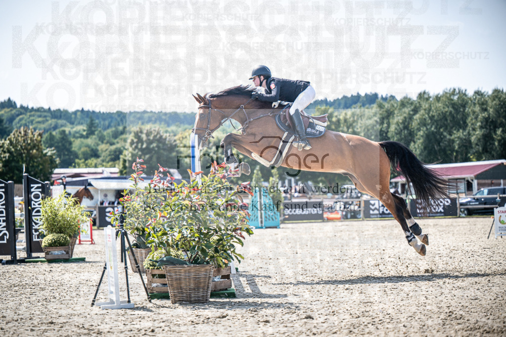 DOS_7311 | Entdecke hochwertige Reitturnierfotos von Foto Oger. Professionell, emotional und authentisch – jetzt Lieblingsmomente im Shop bestellen.Deutschlandweite Turnierfotografie. - Realisiert mit Pictrs.com