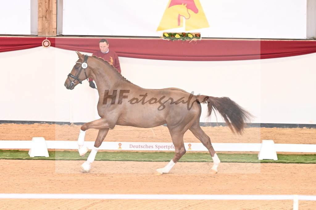 Kat.-Nr. 76 v. Vaderland_Pfefferle_2240917 | hf-fotografie - Realisiert mit Pictrs.com