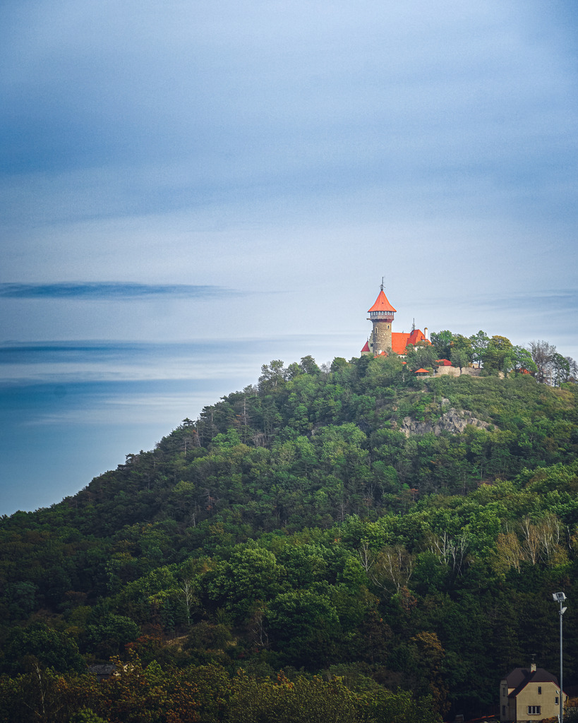 DSC02792 | Exklusive Motorsport-Fotografie aus Leipzig von TXO Media – für Rennfahrer, Teams & Sponsoren. Sausemuth liefert starke Bilder, die Emotion zeigen. Jetzt buchen & glänzen! - Realisiert mit Pictrs.com