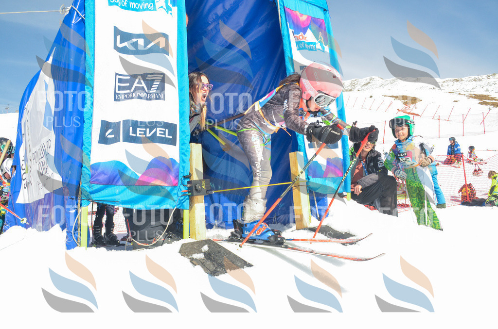 _ELE6133 | holidayphoto