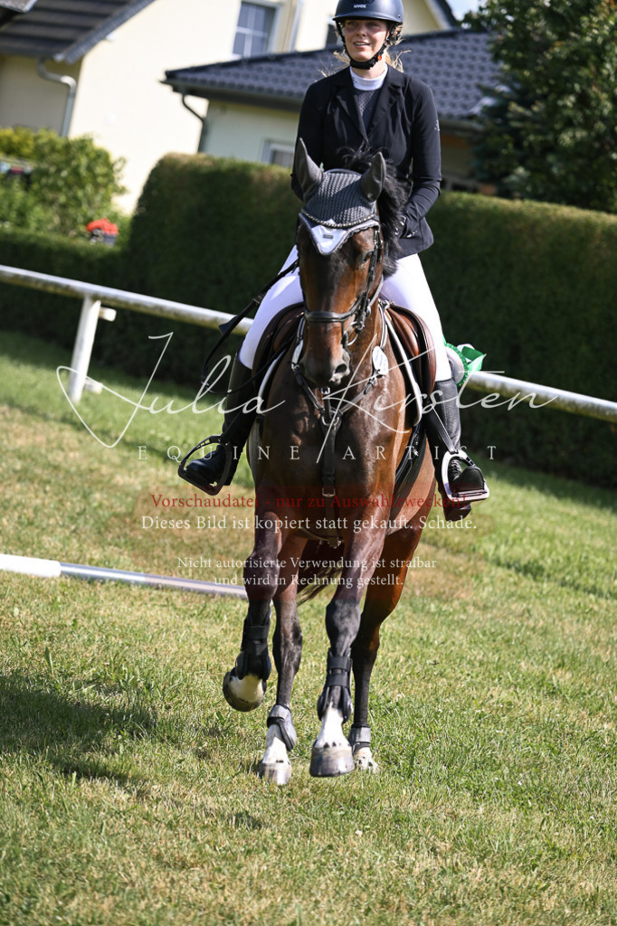 DSC_0736 | Pferde- und Turnierfotografie in Westsachsen. Pferdeportraits, Auftragszeichnungen und intuitive Kunst.