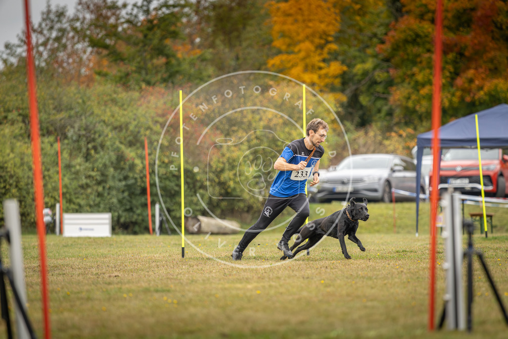 Pfotenfotografie_DV3A5133 | Hundefotografie, Tierfotograf, Pfotenfotografie, Fotoshooting Hund, Hunde Portrait, Hundesport, Hundeportraits, Heideshooting, Hunde, Sportfotograf, Hundefotograf, Turnierhundsport, THS,  - Realisiert mit Pictrs.com