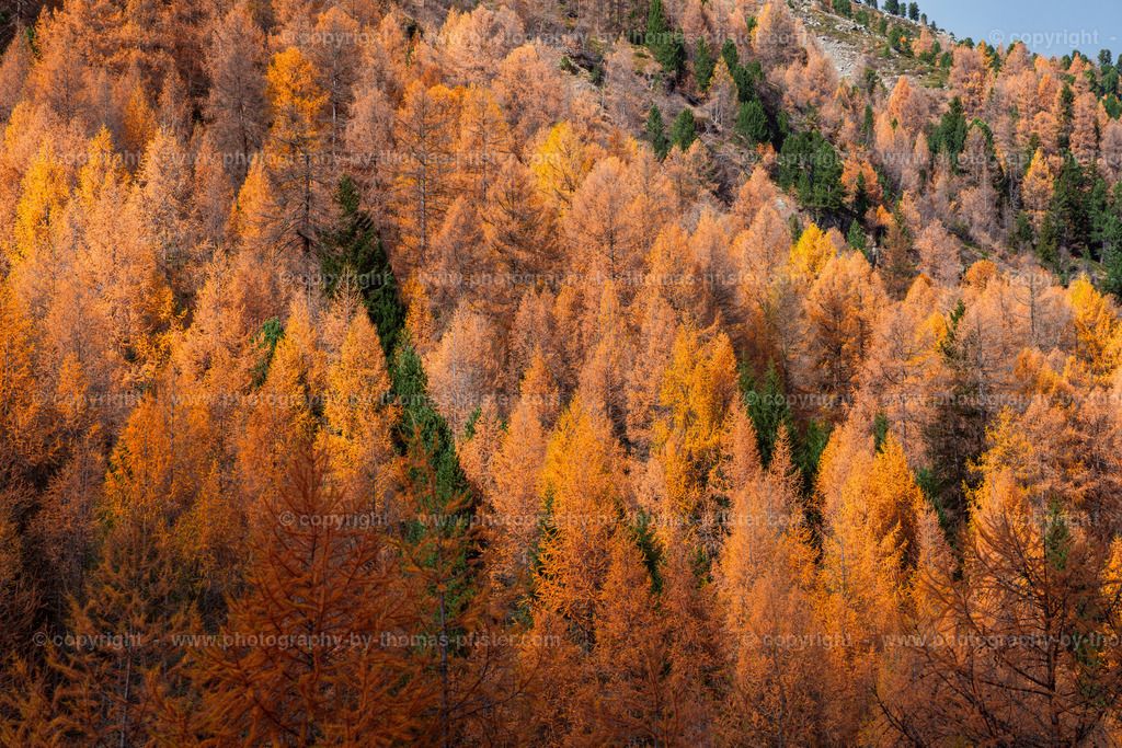 Ötztal Herbst copyright  Thomas Pfister-2 | PHOTOGRAPHY BY THOMAS PFISTER