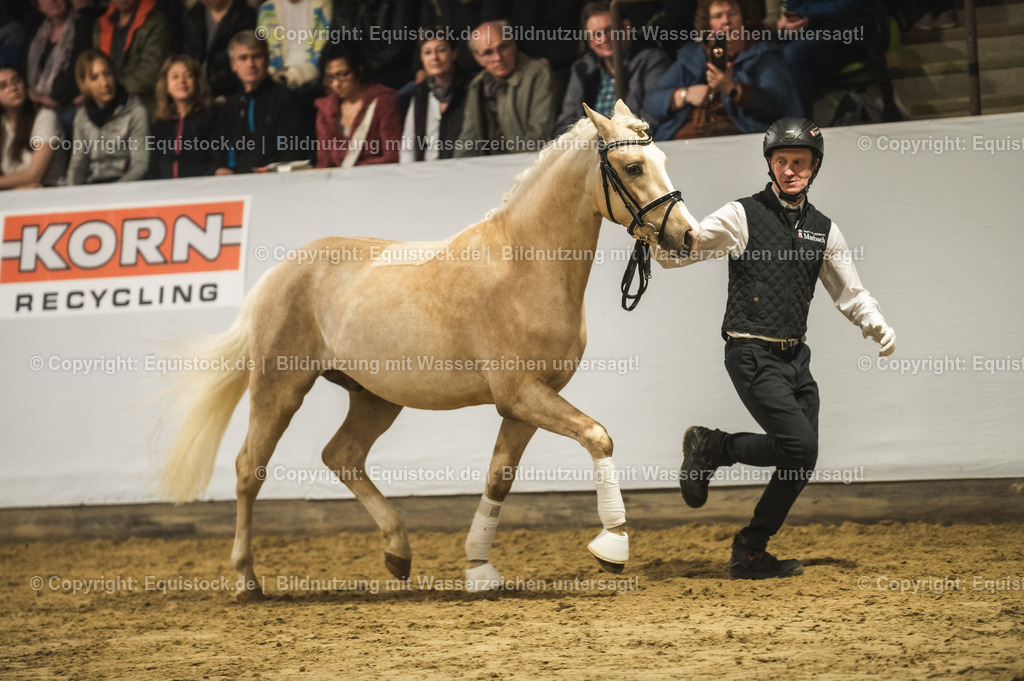 20240302_Hengstvorstellung_Marbach_TOMsPiC_0874 | equistock