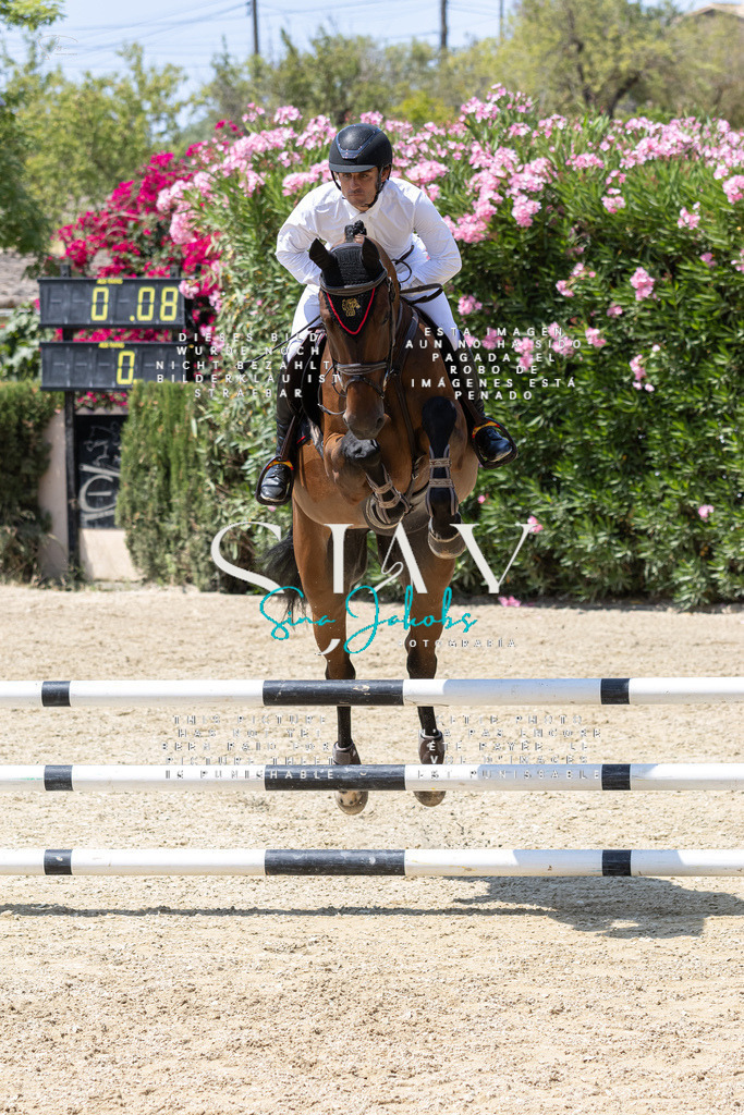 IMG_0648 | s-jay-photography - Realisiert mit Pictrs.com