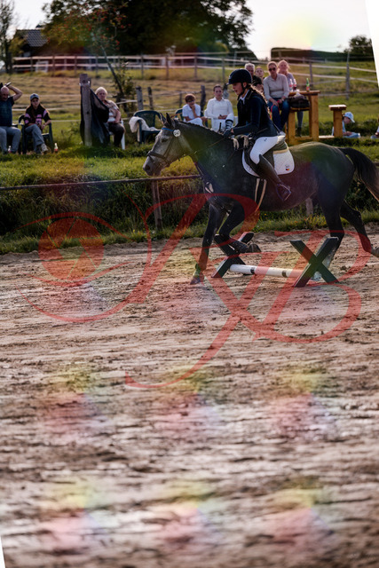 2026_10_03_Siefer-Hof_144905_Z81_26964773 | Professionelle Reitsport-, Turnier- und Eventfotografie von Robert Broda. Galerien mit ausgewählten und bearbeiteten Bildern direkt online ansehen und bestellen.