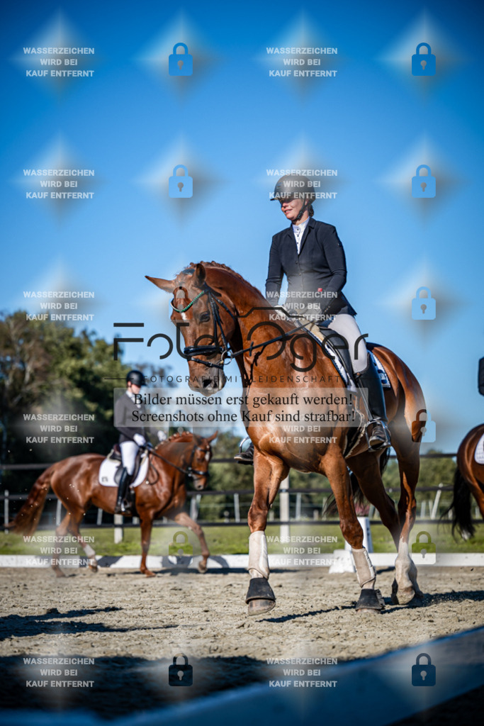 2026-09-Lohne-11-0039 | Entdecke hochwertige Reitturnierfotos von Foto Oger. Professionell, emotional und authentisch – jetzt Lieblingsmomente im Shop bestellen.Deutschlandweite Turnierfotografie. - Realisiert mit Pictrs.com