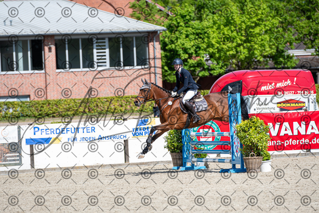 KPT_4929 | andre_photographic