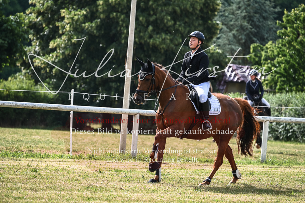 DSC_8173 | Pferde- und Turnierfotografie in Westsachsen. Pferdeportraits, Auftragszeichnungen und intuitive Kunst.