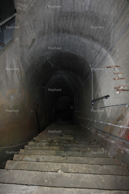 IMG_3610 | Raphael - Realisiert mit Pictrs.com