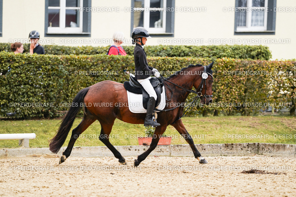 DSC00509 | Pferdegrafie