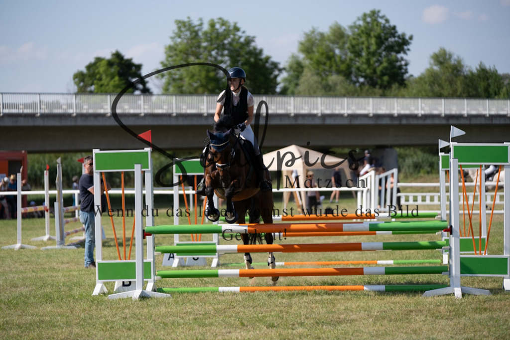 A7V00661 | Pferdefotograf