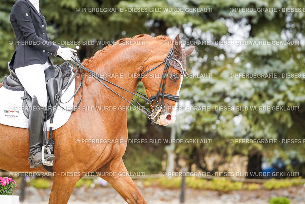 DSC07231 | Pferdegrafie