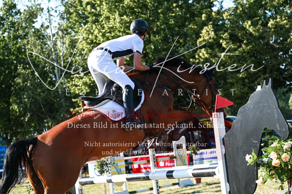 DSC_2675 | Pferde- und Turnierfotografie in Westsachsen. Pferdeportraits, Auftragszeichnungen und intuitive Kunst.