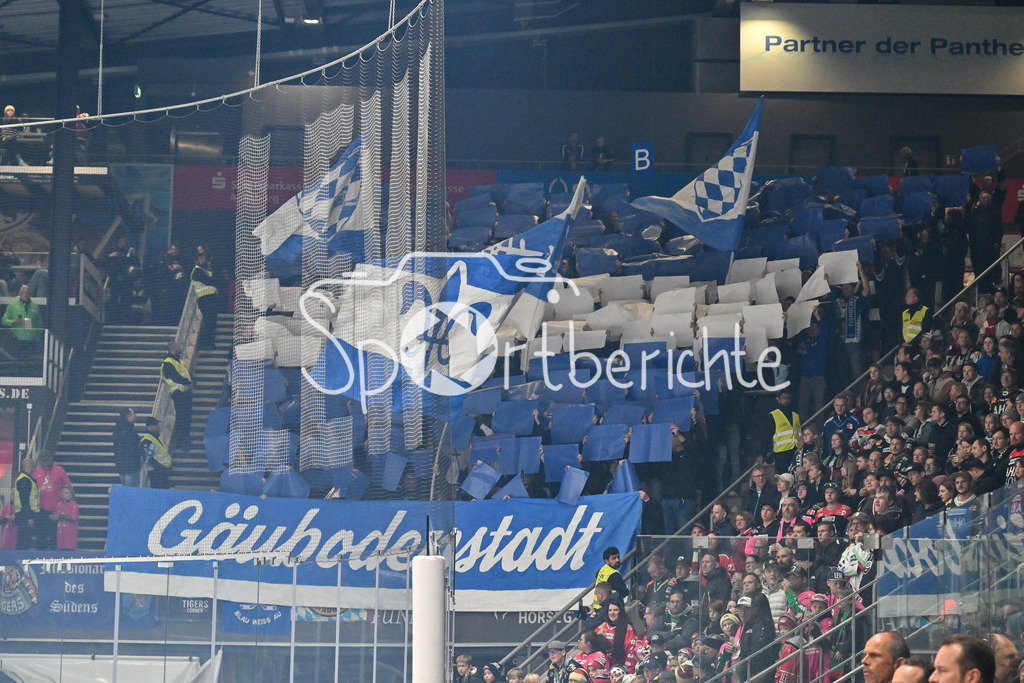Augsburger Panther - Straubing Tigers | Die Fans aus Straubing haben zu Spielbeginn eine Choreo vorbereitet / Ultras / Choreographie / DEL: Augsburger Panther - Straubing Tigers, Curt Frenzel Stadiom am 20.10.2024