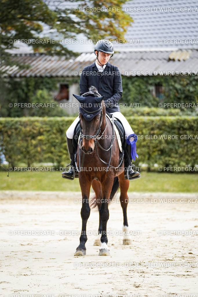 DSC05001 | Pferdegrafie