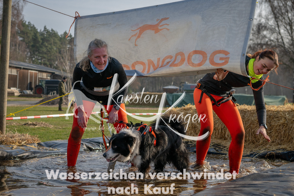 _ZZ91614 | kk-dogfotos