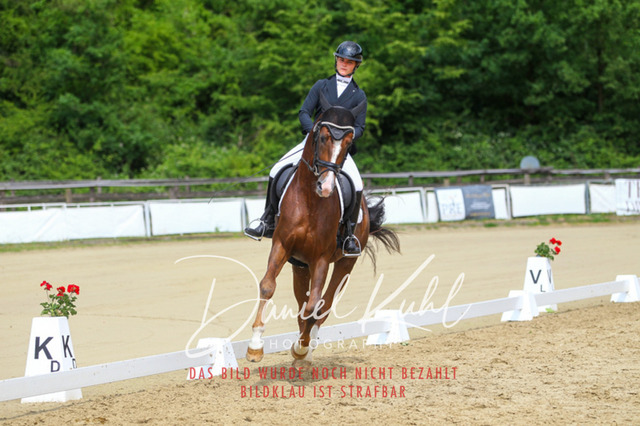 DKP45836 | Turniersportfotografie; Pferdefotografie; Dressurfotografie