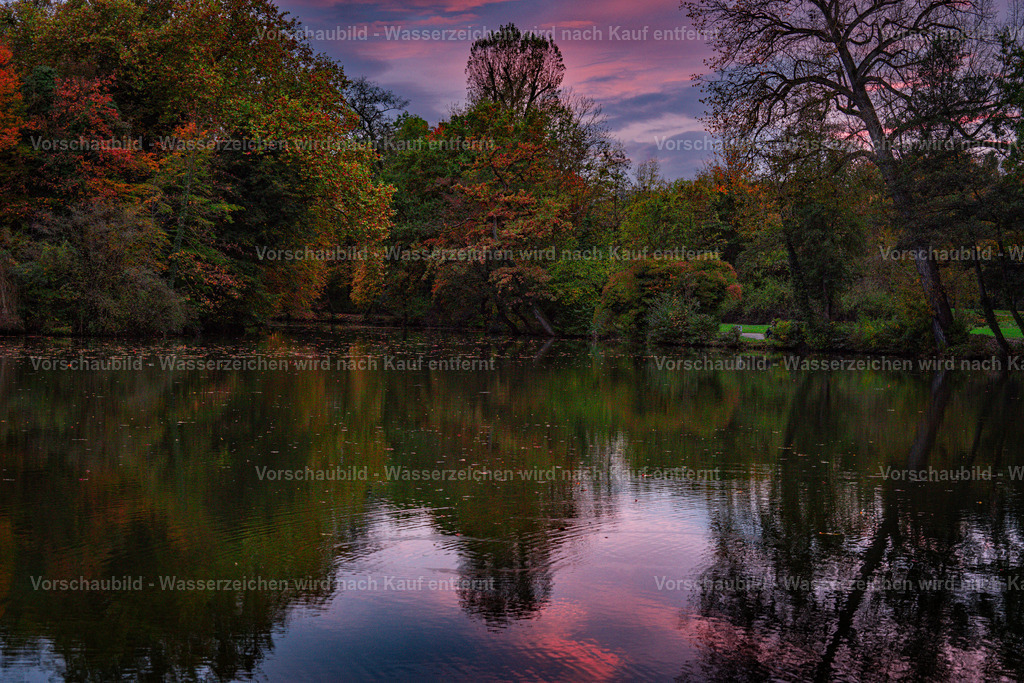 DSC06094 | marcuslinek