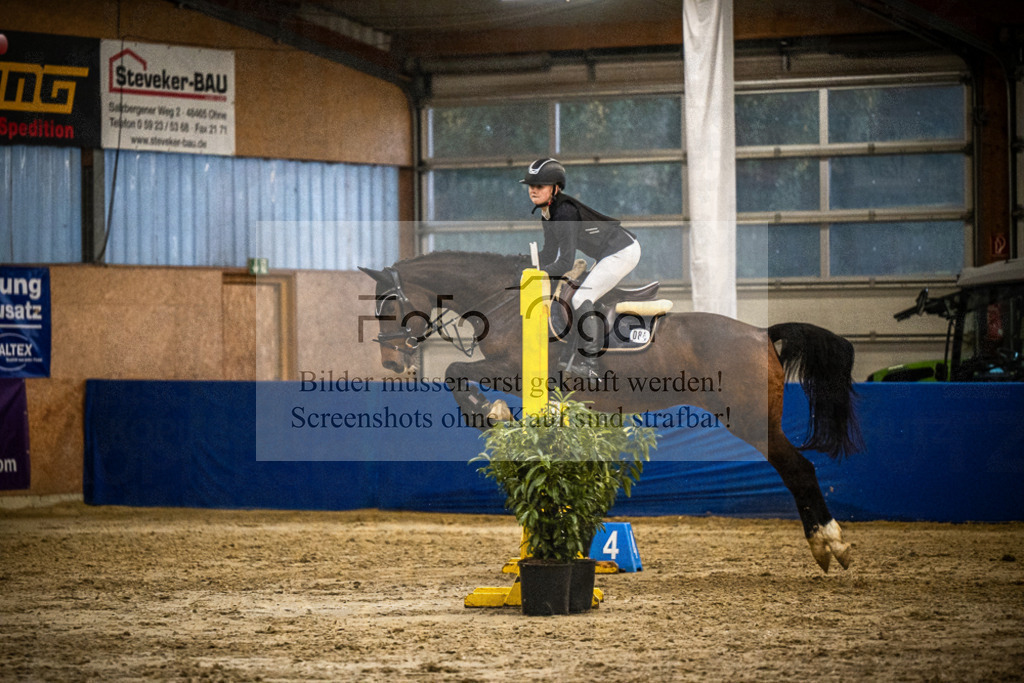 DOS_1290 | Entdecke hochwertige Reitturnierfotos von Foto Oger. Professionell, emotional und authentisch – jetzt Lieblingsmomente im Shop bestellen.Deutschlandweite Turnierfotografie. - Realisiert mit Pictrs.com